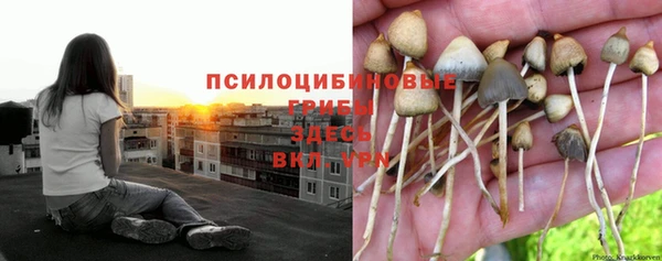 синтетический гашиш Богданович