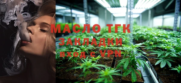 хмурый Богородицк