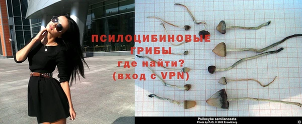 хмурый Богородицк