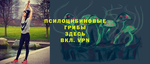 прущая мука Богородск