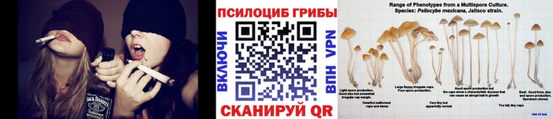 Псилоцибиновые грибы прущие грибы закладки гидра ONION Каменск-Уральский